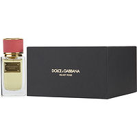 Dolce & Gabbana Velvet Rose
